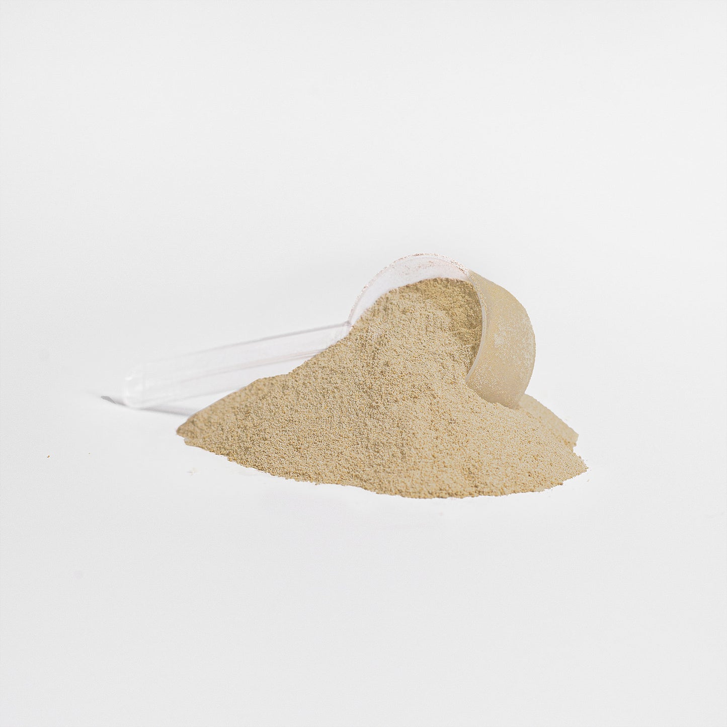 MainSupps Whey Protein Isolate (Vanilla)